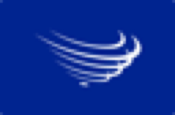 Amazon flag
