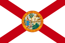 Southern USA flag