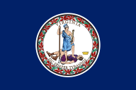 Southern Cone flag